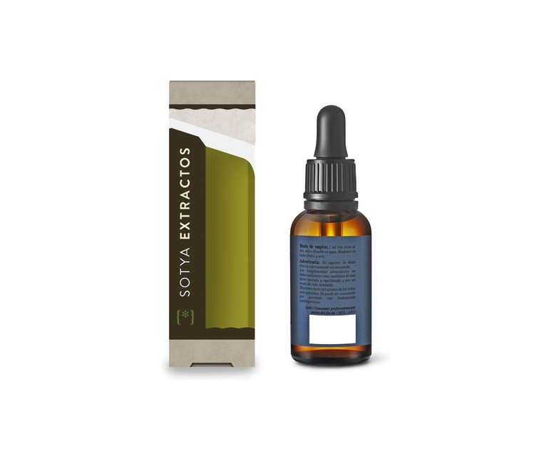 Extracto de Gingko Biloba 50 ml Sotya