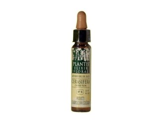 Flores De Bach Cerasifera-6 Elixir Floral Eco
