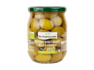 Aceitunas verdes gigantes bella di Cerignola