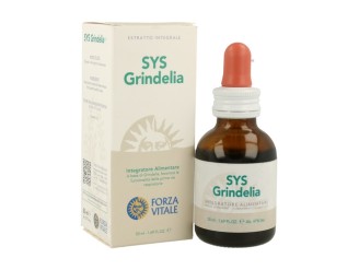 SYS Grindelia