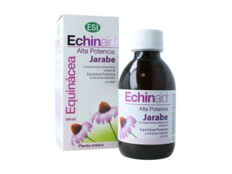 Echinaid Jarabe