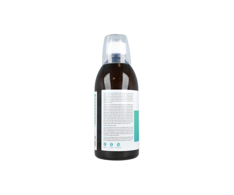 Depurativo Detox Bio 500 ml VITALART