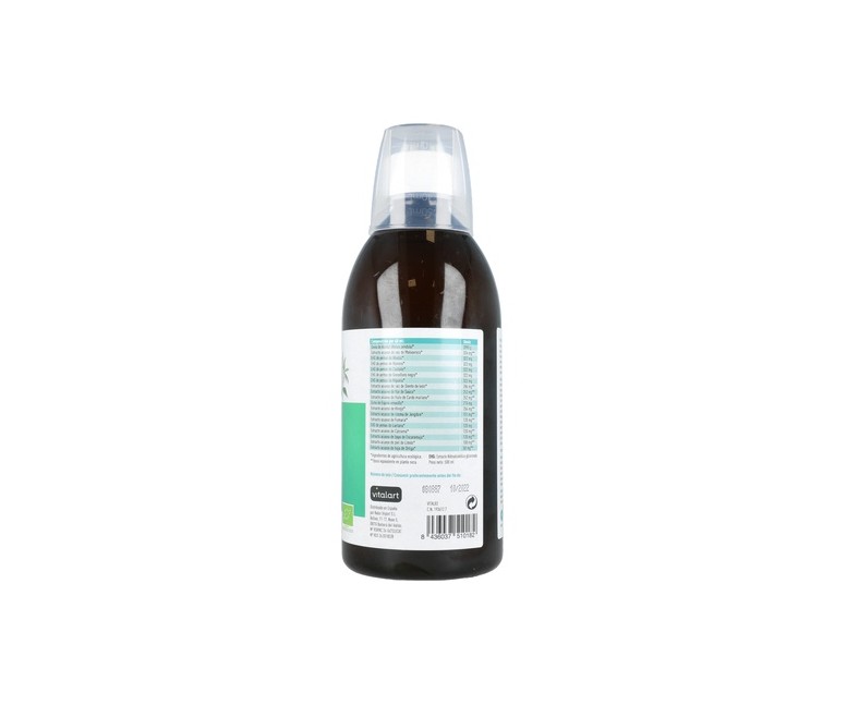 Depurativo Detox Bio 500 ml VITALART