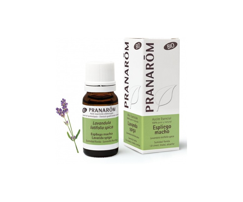 Aceite Esencial Espliego Macho (Lavandula latifolia) 10 ml de aceite esencial Pranarom