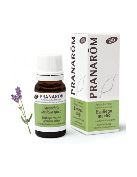 Aceite Esencial Espliego Macho (Lavandula latifolia) 10 ml de aceite esencial Pranarom