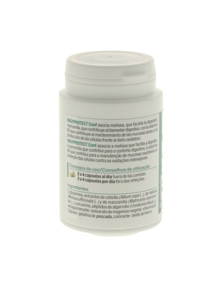 Ergyprotect tracto digestivo 60 cápsulas Nutergia