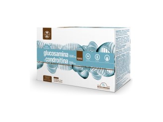 Glucosamina y Codroitina