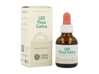 LES Ficus Carica
