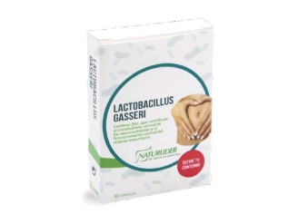 Lactobacillus Gasseri