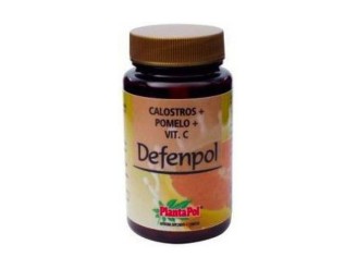 Defenpol