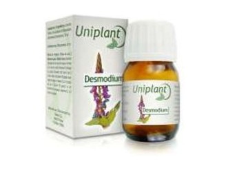 Desmodium Uniplant