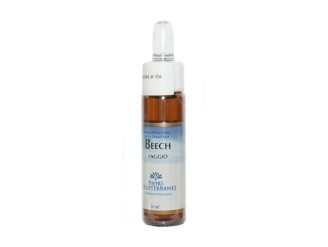 FM Beech (Haya