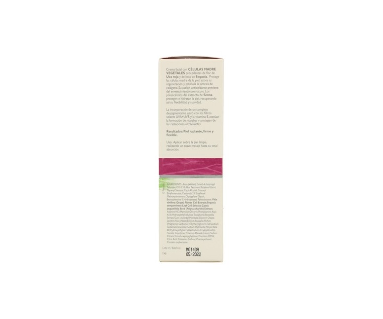 Crema Regeneradora Celulas Madre 55 ml de crema Corpore sano
