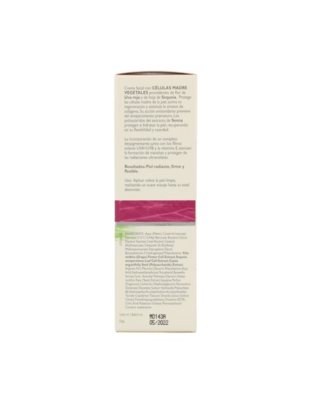 Crema Regeneradora Celulas Madre 55 ml de crema Corpore sano