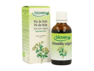 Alchemilla Vulgaris (Alchemilla) Bio