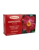Harpagofito Plus