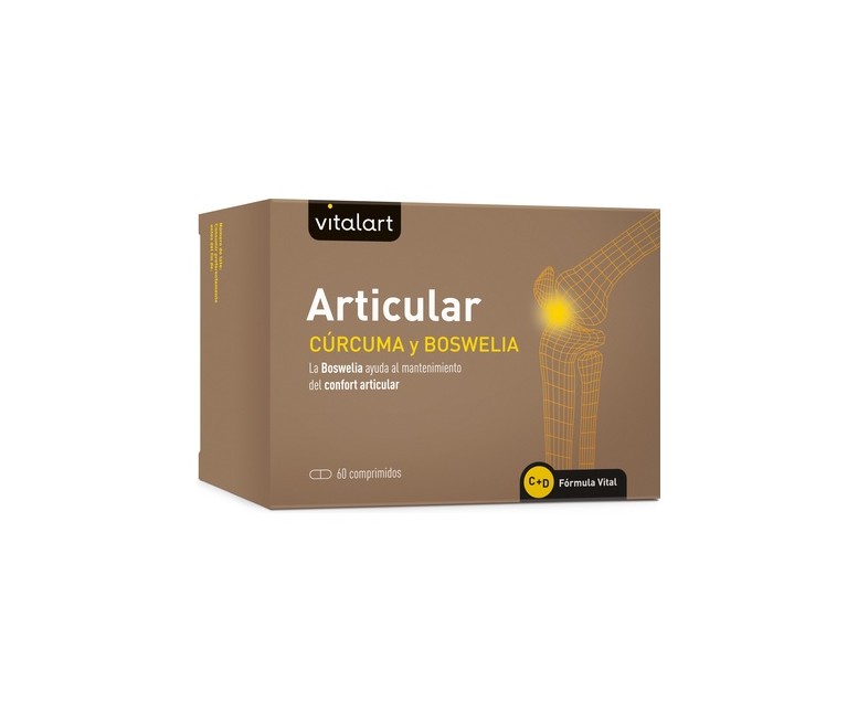 Articular 60 comprimidos VITALART