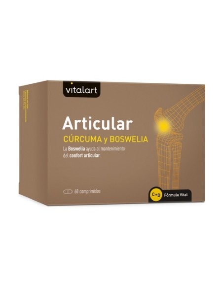 Articular 60 comprimidos VITALART