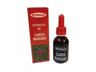 Cardo Mariano Concentrado
