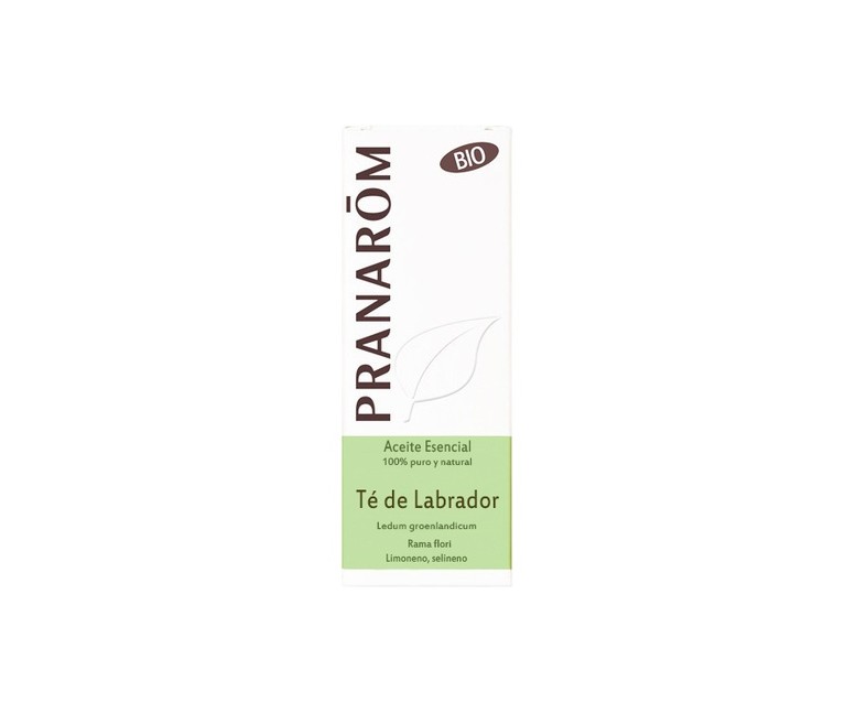 Aceite esencial de Té de Labrador 5 ml de aceite esencial Pranarom