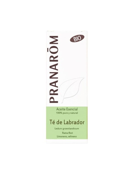 Aceite esencial de Té de Labrador 5 ml de aceite esencial Pranarom