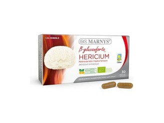 Hericium melena de león bio