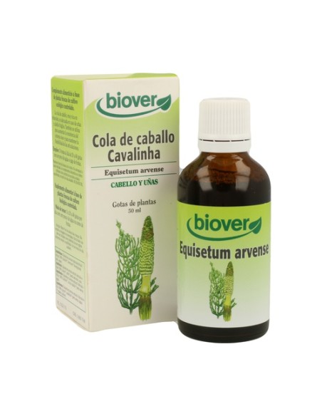 Equisetum Arvense (Cola de Caballo) 50 ml Biover