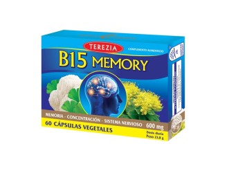 B15 Memory