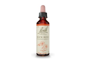 Bach Rock Rose
