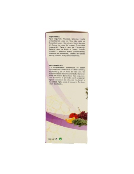 Ferro Fruits Jarabe 500 ml Cfn
