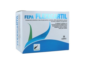 FlexiCartil