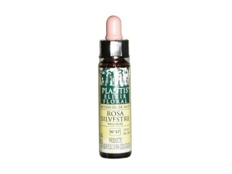 Flores De Bach Rosa Sil-37 Elixir Floral Eco