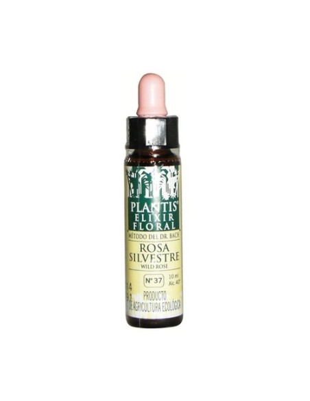 Flores De Bach Rosa Sil-37 Elixir Floral Eco 10 ml de elixir floral Plantis