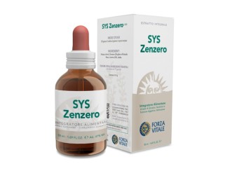 SYS Zenzero