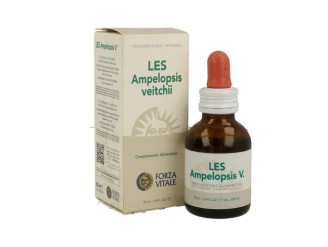 LES Ampelopsis Veitchii