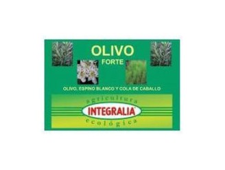 Olivo Forte Eco