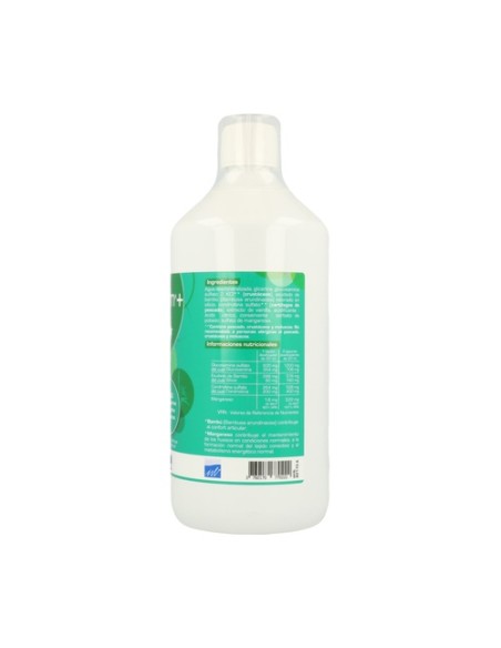 Silapharm Plus Energía Articular 1 L Labo Sante Silice