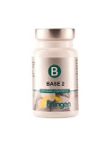 Base 2
