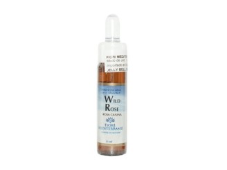 FM Wild Rose (Rosa Silvestre)