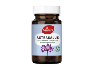 Astragalus