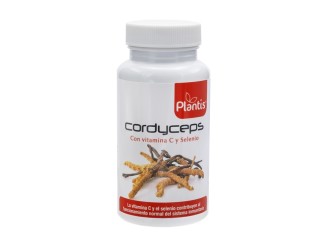 Cordyceps