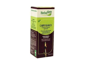 Carpe Blanco Macerado Glicerinado