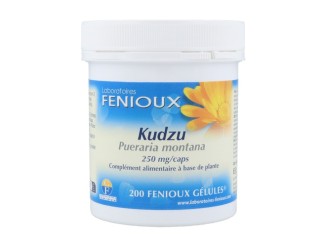 Kudzu
