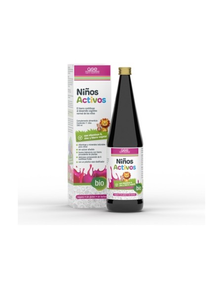 Niños activos complex multinutrientes 330 ml GSE