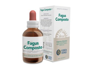 Fagus Composto