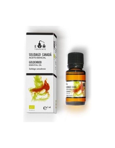 Aceite Esencial Solidago de Canadá Bio 5 ml de aceite esencial Terpenic