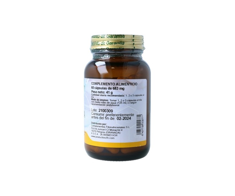 Lisina 60 cápsulas de 500mg Cfn