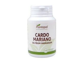 Cardo Mariano