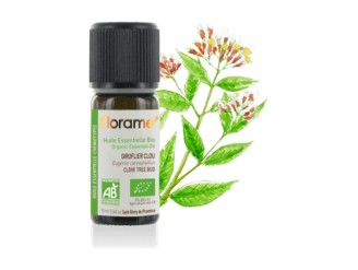Aceite Esencial de Clavo Bio