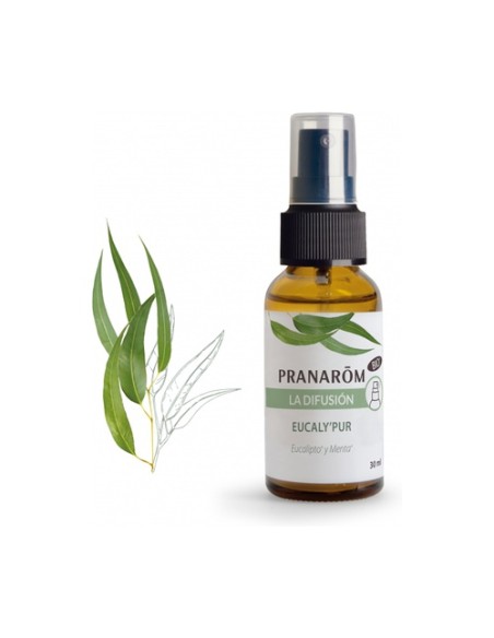 Difusión en Spray eucalipto bio 30 ml (Eucalipto) Pranarom